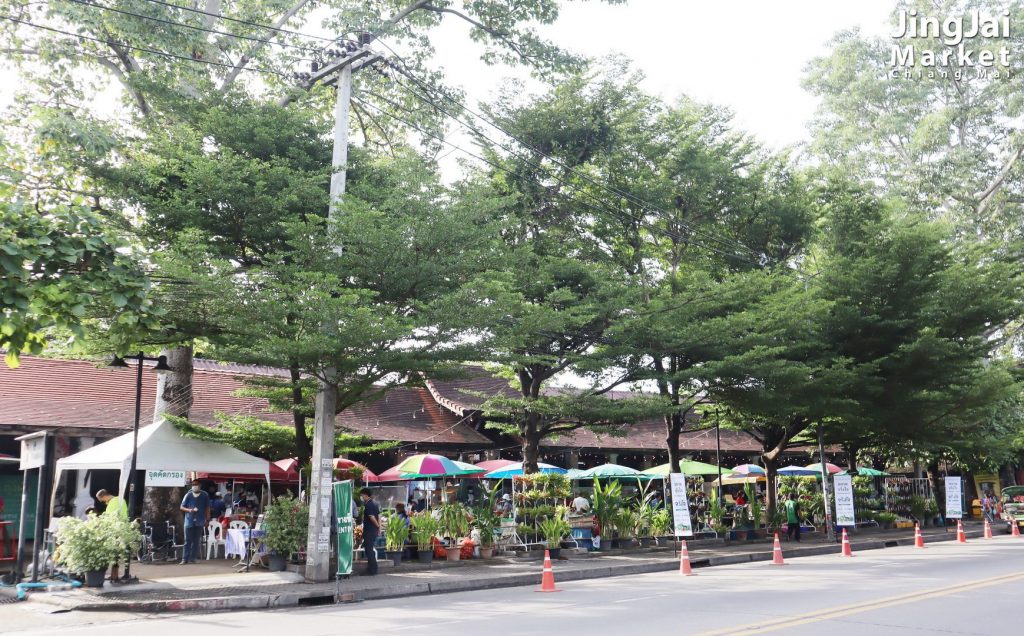 Jing-jai-market-chiangmai